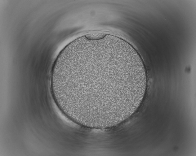 X0000114391523200911131331