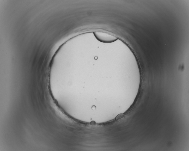 X0000114391526200911131331
