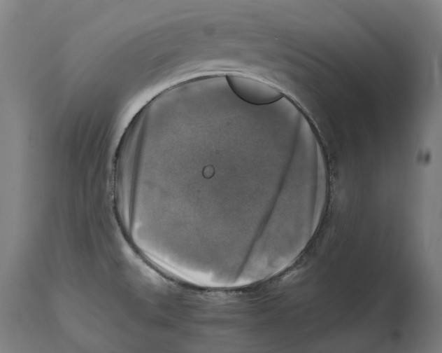 X0000114391527200911131331