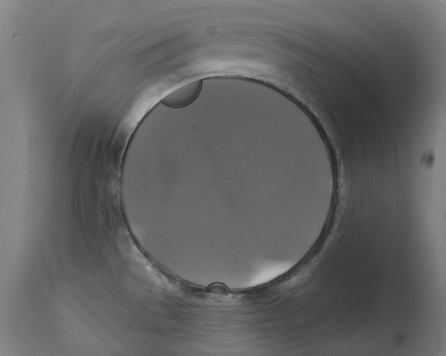X0000114391529200911131331