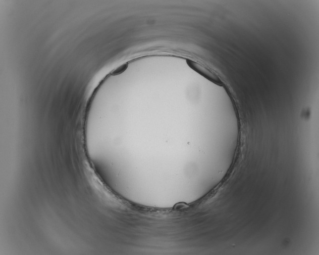 X0000114391530200911131331