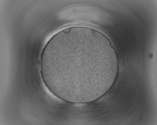 X0000114391531200911131331