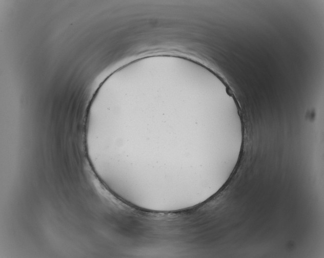 X0000114391534200911131331