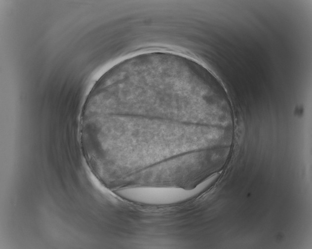 X0000114391535200911131331