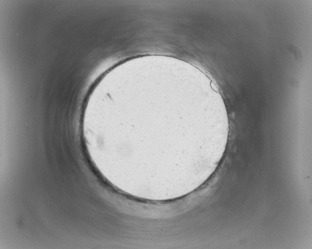 X0000114390008200911271507