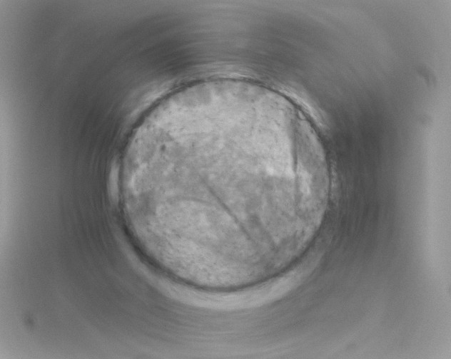 X0000114390014200911271507