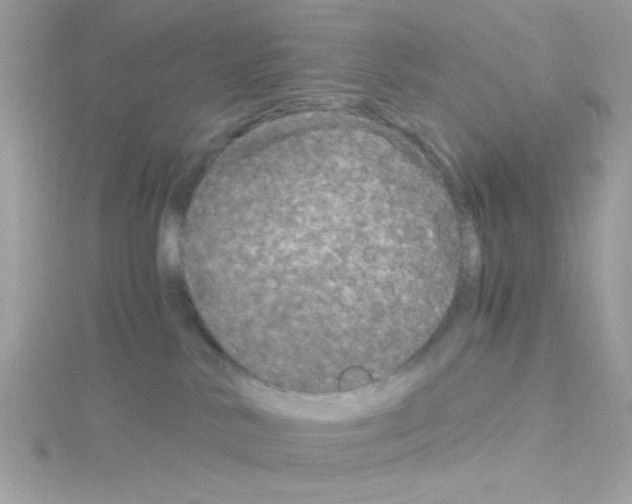 X0000114390042200911271507