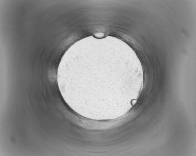 X0000114390048200911271507