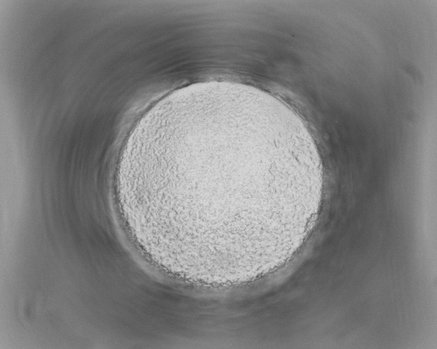 X0000114390049200911271506