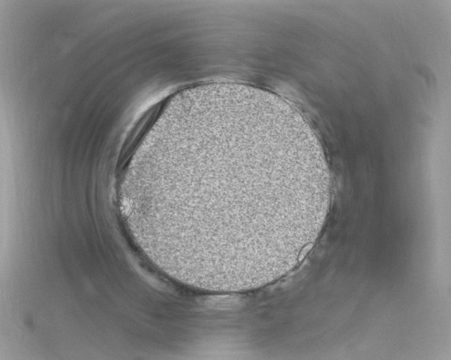 X0000114390050200911271506