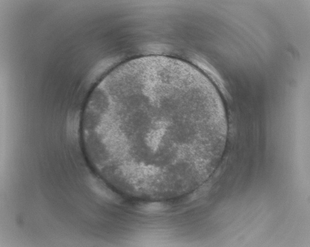 X0000114390058200911271506