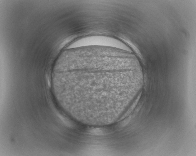 X0000114390062200911271506