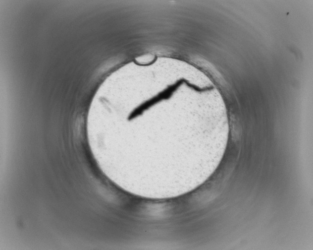 X0000114390071200911271506