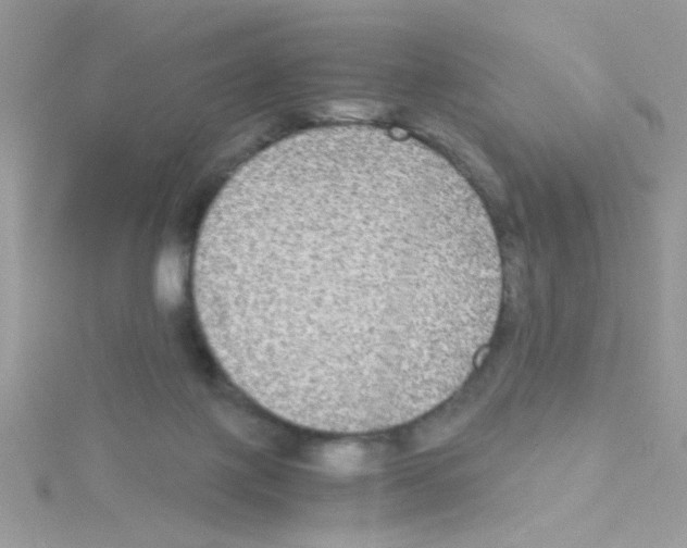 X0000114390075200911271506
