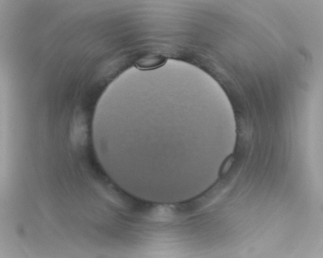 X0000114390080200911271506