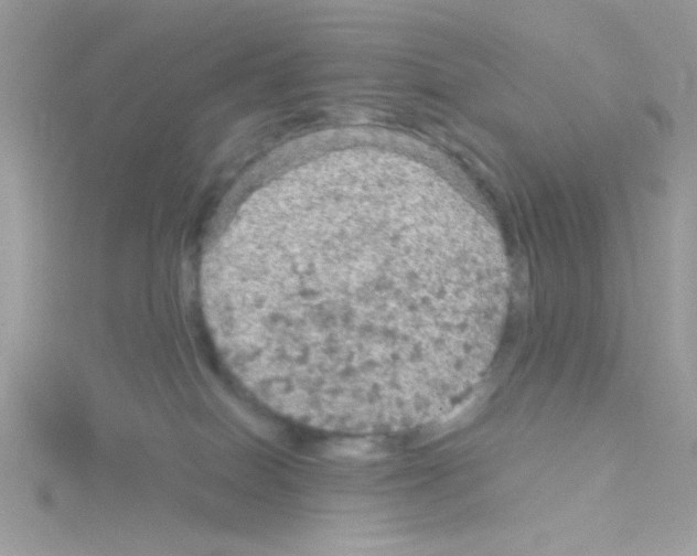 X0000114390086200911271507