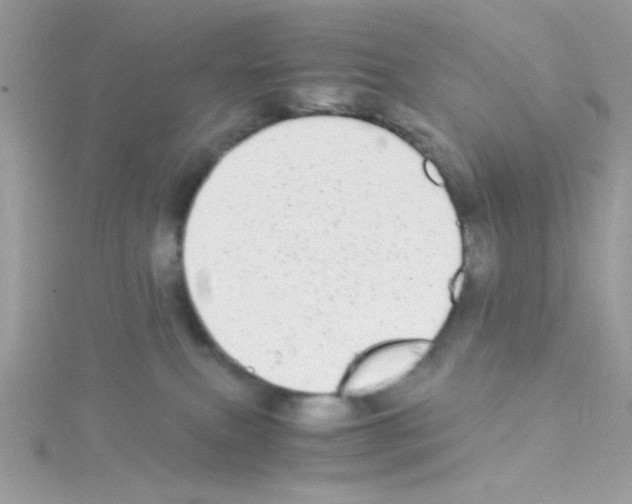 X0000114390087200911271507