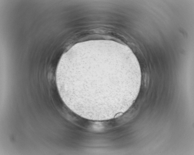 X0000114390091200911271507