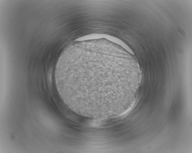 X0000114390094200911271507