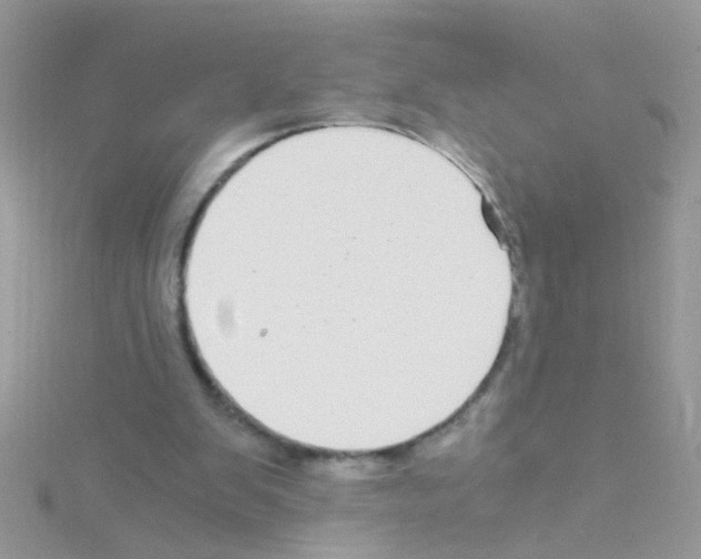 X0000114390103200911271506