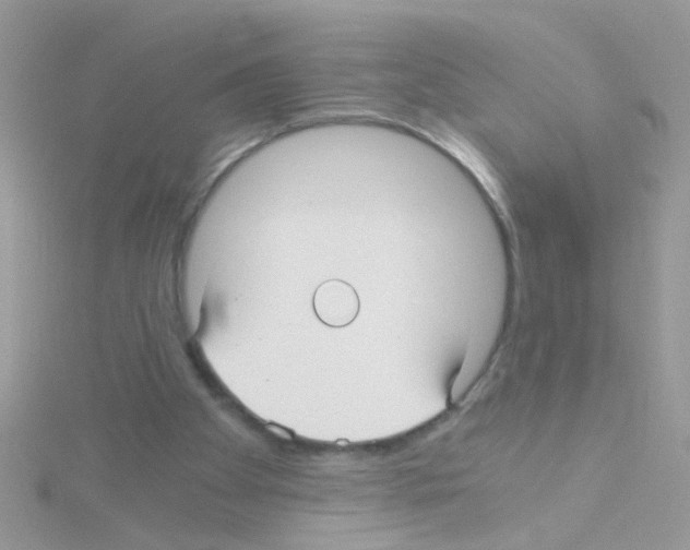 X0000114390105200911271506