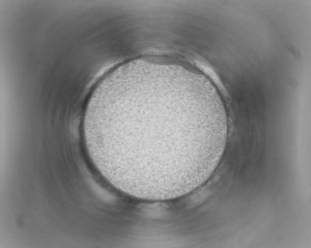X0000114390106200911271506