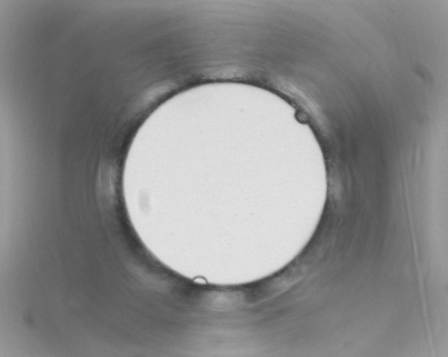 X0000114390115200911271506