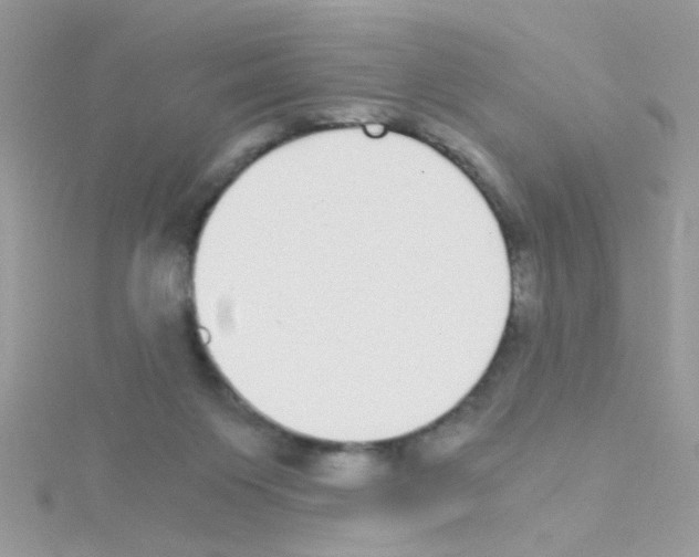 X0000114390119200911271506