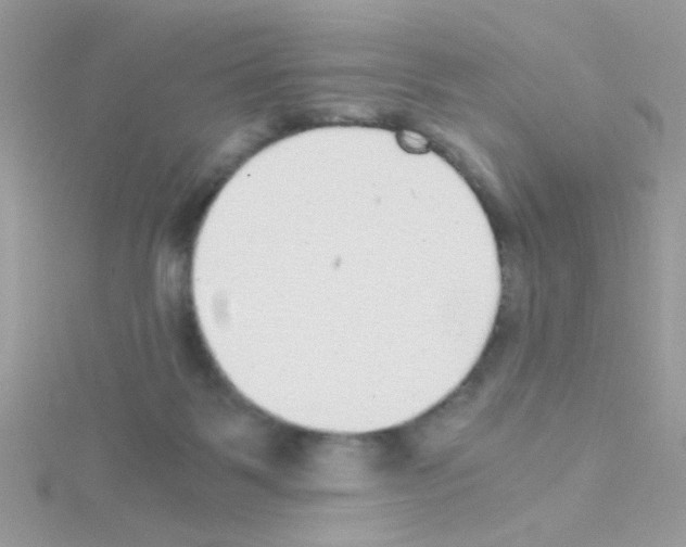X0000114390123200911271506