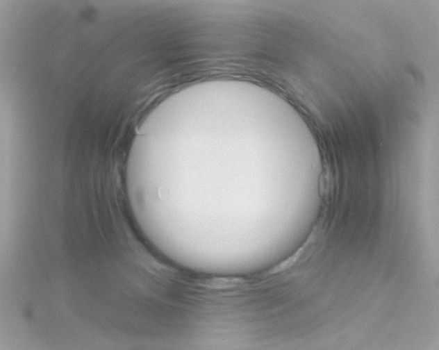 X0000114390128200911271506