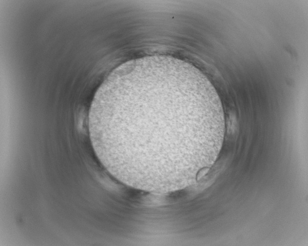 X0000114390138200911271505