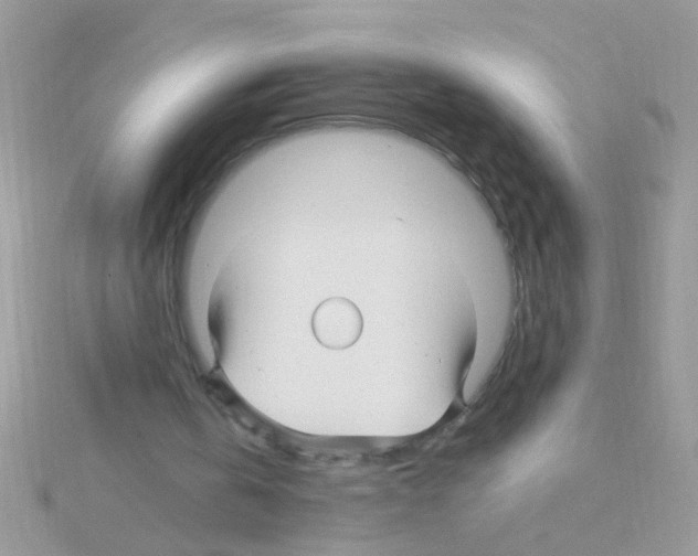 X0000114390146200911271505