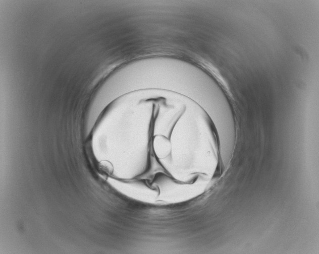X0000114390154200911271505