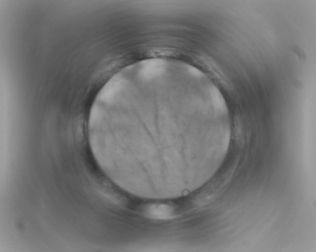 X0000114390169200911271505