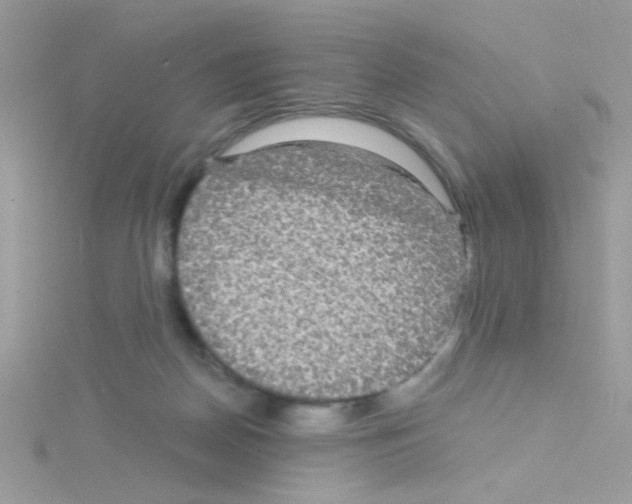 X0000114390170200911271505