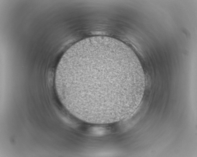 X0000114390171200911271505
