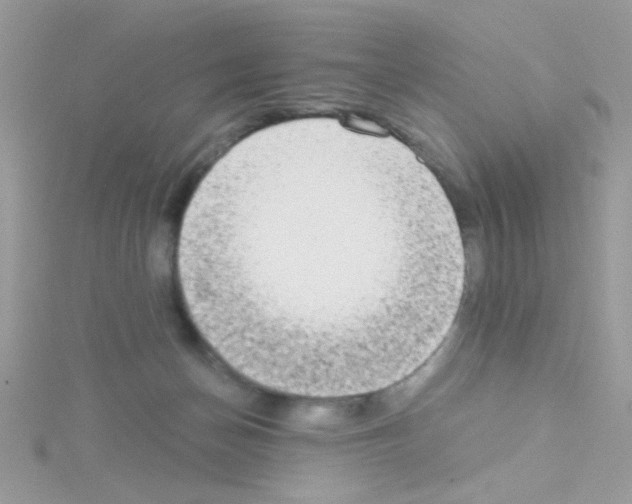X0000114390174200911271505