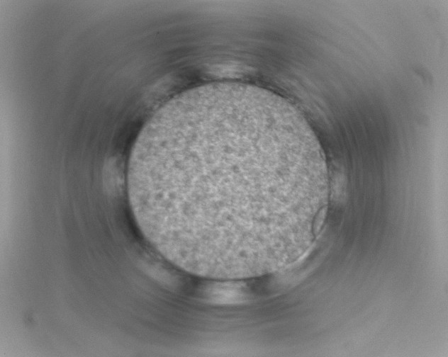 X0000114390179200911271505