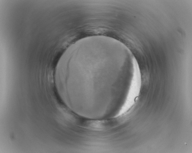 X0000114390182200911271505