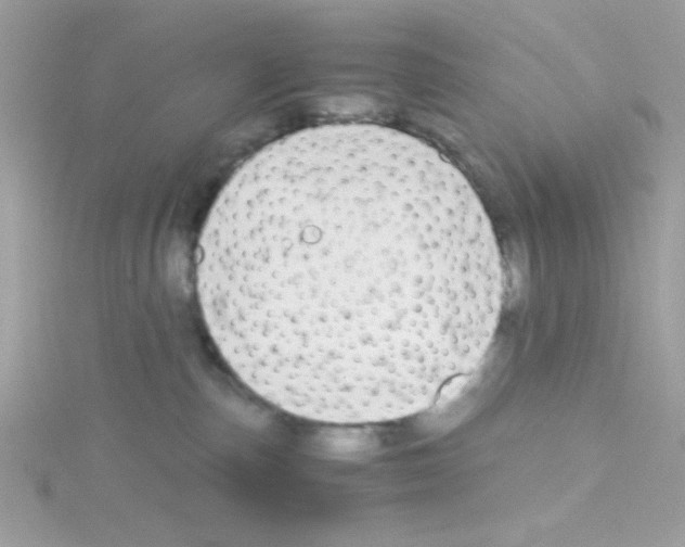 X0000114390187200911271505