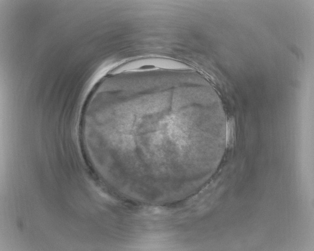 X0000114390195200911271505