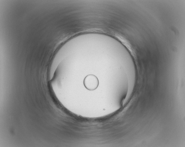 X0000114390201200911271504
