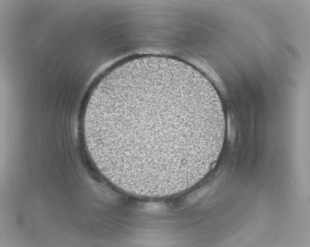 X0000114390204200911271504