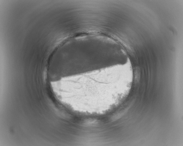 X0000114390206200911271504