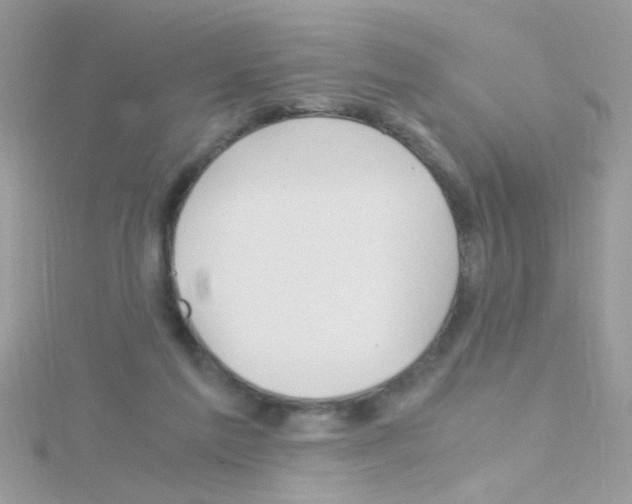 X0000114390213200911271504