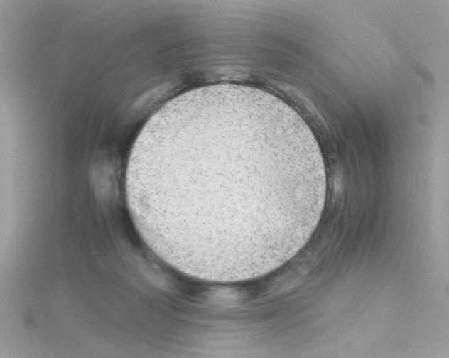 X0000114390218200911271504