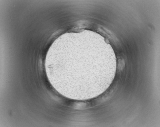 X0000114390220200911271504