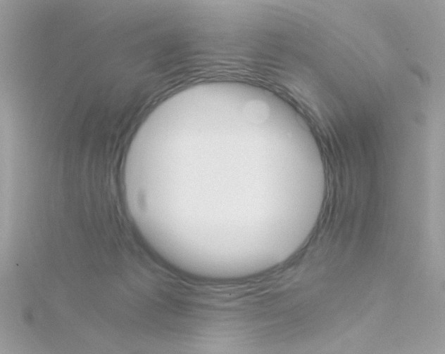X0000114390221200911271504