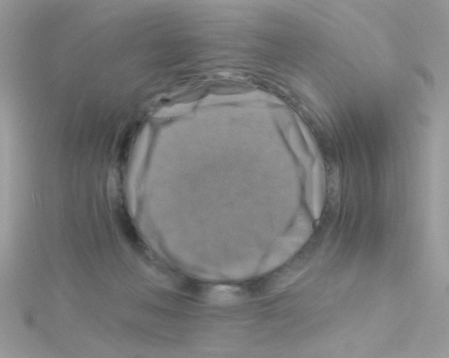X0000114390222200911271504