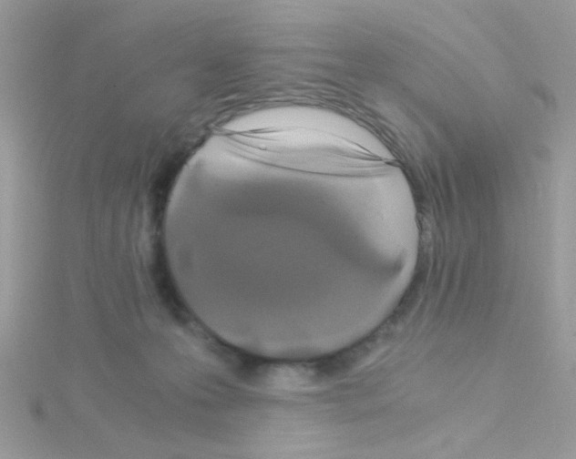 X0000114390223200911271504